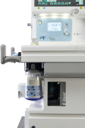 Жалаңаш француз қыздары Қырылмаған кискалардың суреттері