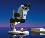 Stemi 2000 / 2000-C (лабораторный микроскоп, схема Грену)