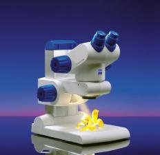 Stemi DV4/ DV4 Spot (рабочий, учебный микроскоп, схема Грену)
