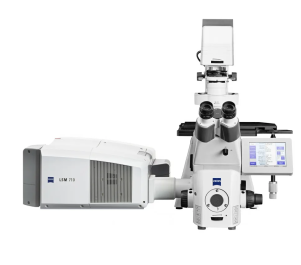 Микроскоп конфокальный LSM 710